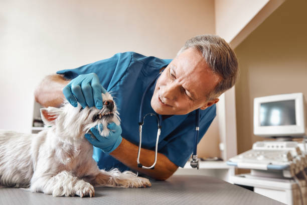Best Urgent Dental Care in Enid, OK